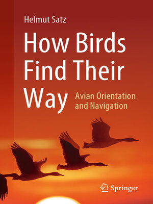 cover image of How Birds Find Their Way